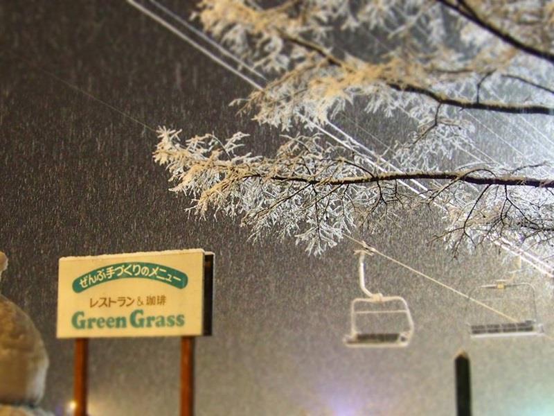 Pensión&Restaurante Green Grass Hakuba Exterior foto